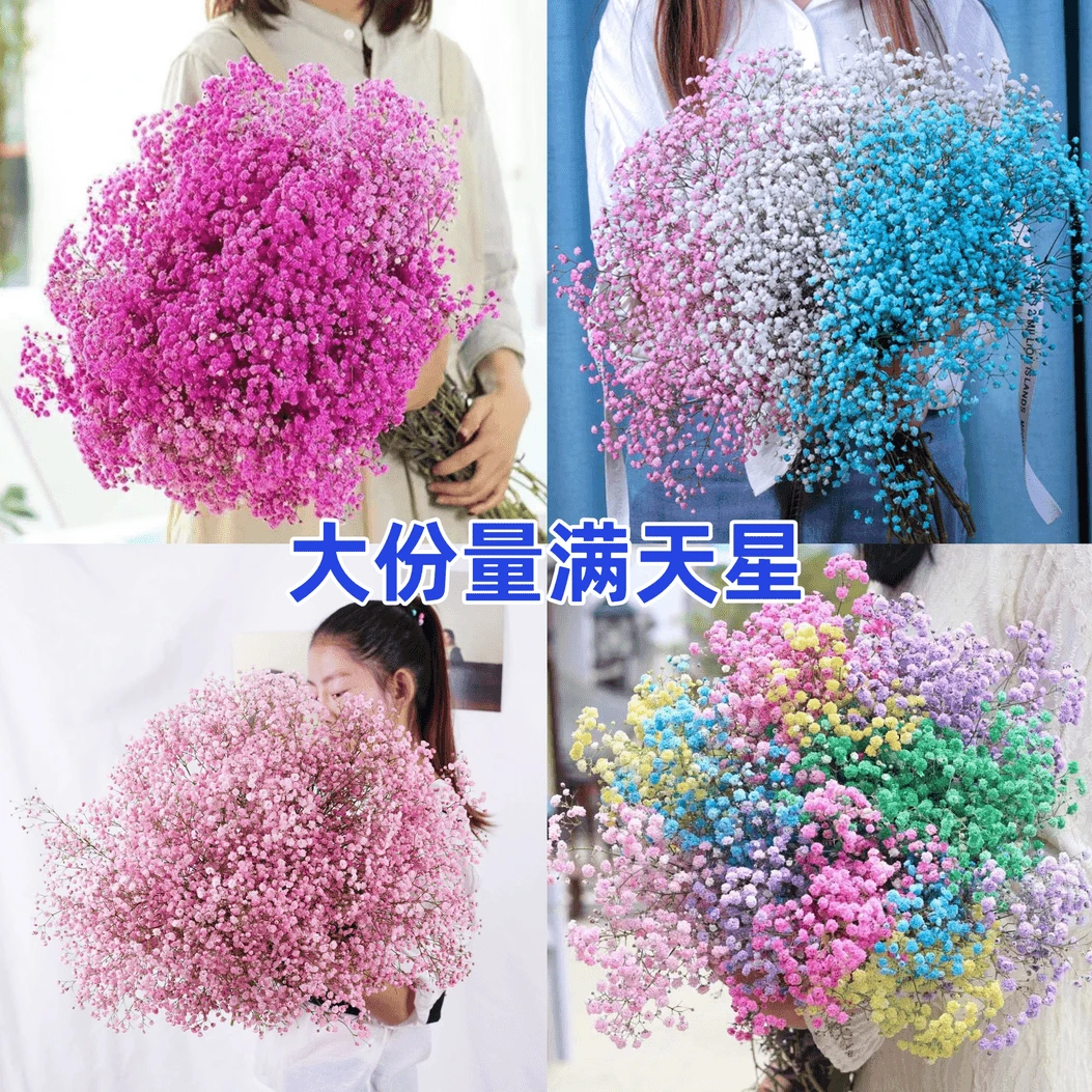 【新店福利】满天星新鲜花束发货大束满天星家居摆放客厅清新混搭装