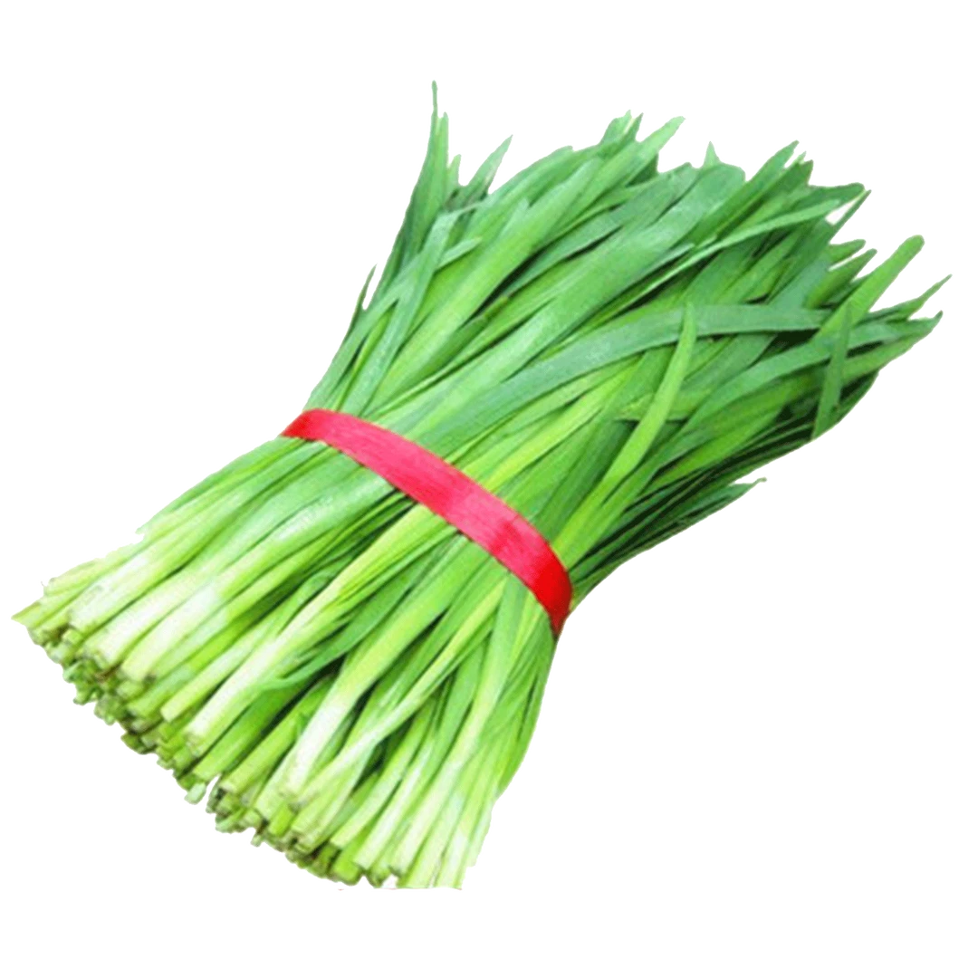 韭菜约1斤 约1斤