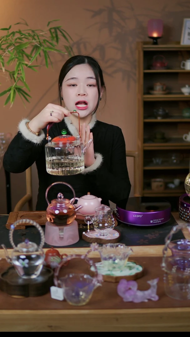 【闪购商品】晋芳 24节气 蒸煮壶