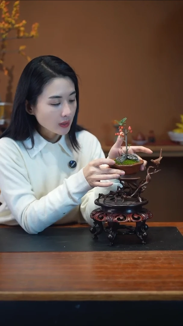 全部花朵火棘盆景盆景盆景