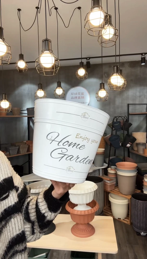 【闪购商品】塑料10.7罗斯玛丽白色印花10只装