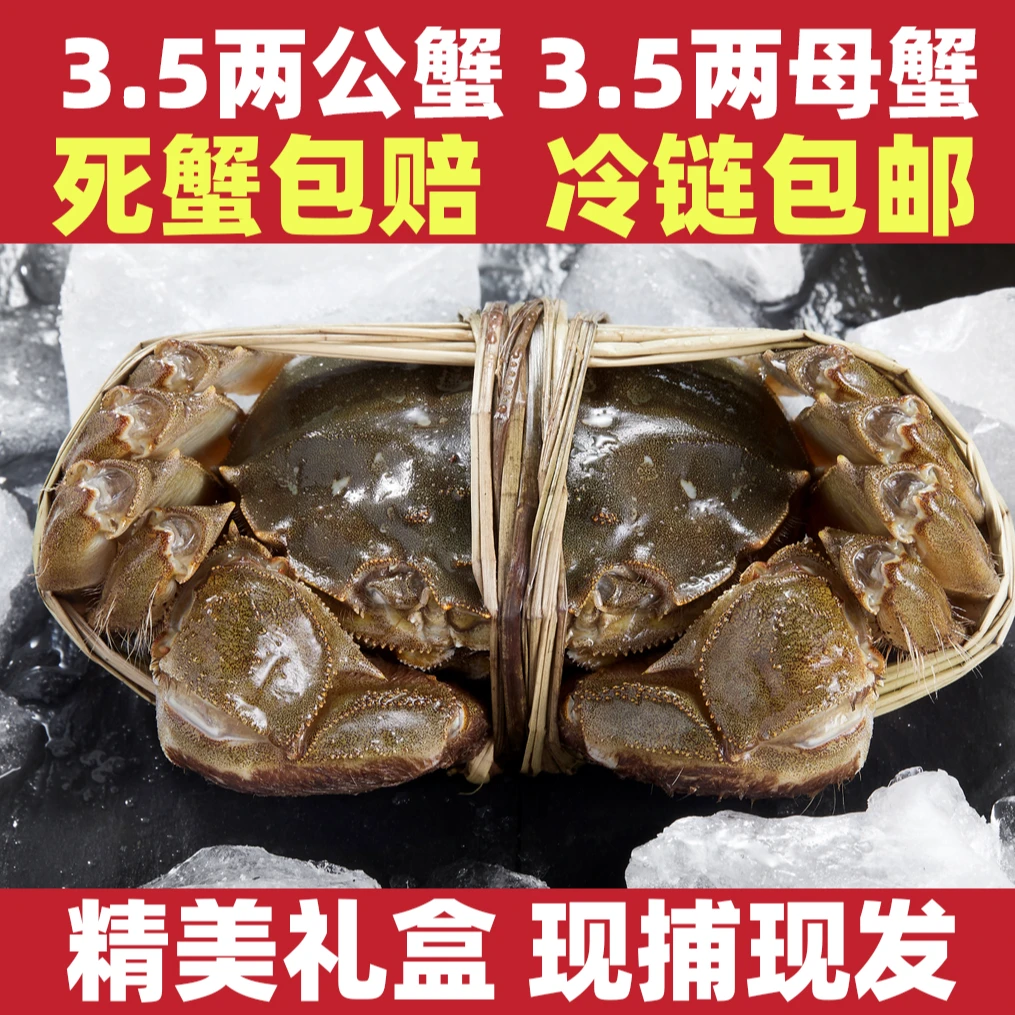 澄方圆【不打烊】大闸蟹活蟹公蟹3.5两母蟹3.5两5对10只装礼盒装