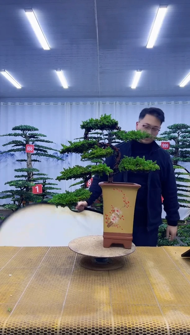 无花朵000000000000000000000000