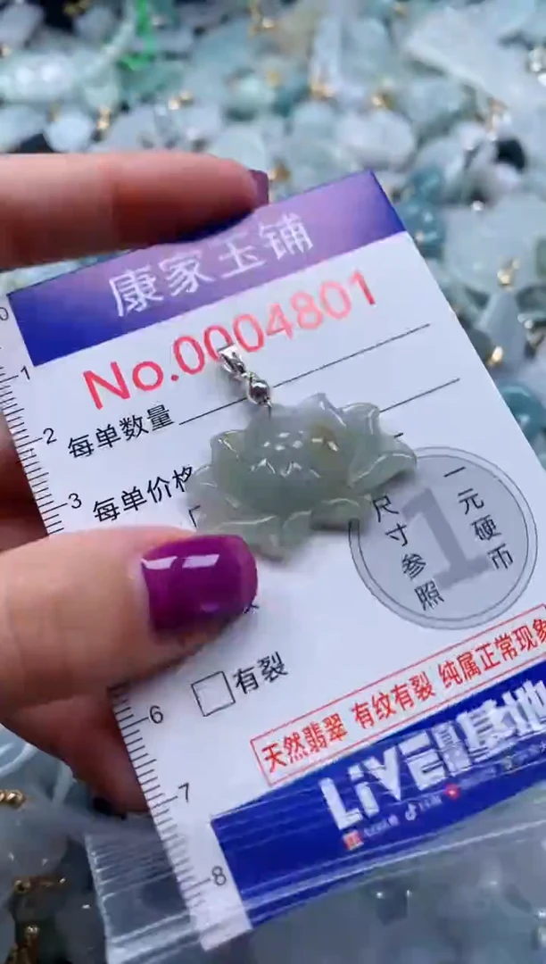 颈饰未镶嵌翡翠4801