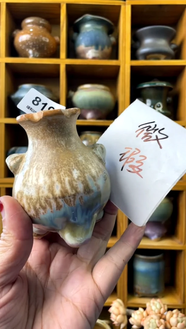 【闪购商品】陶819