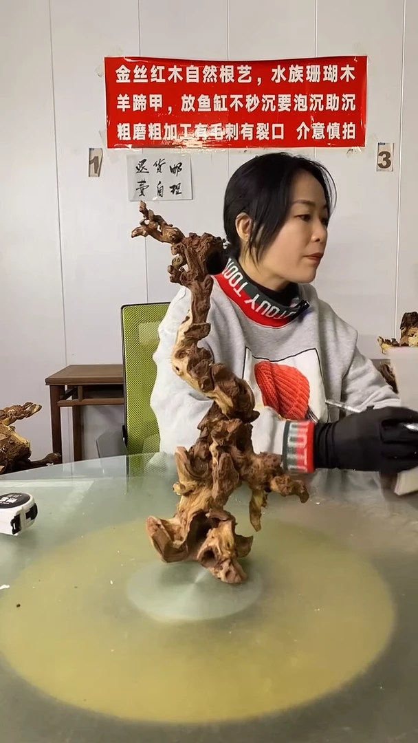 木西***狼金丝红木  羊蹄甲