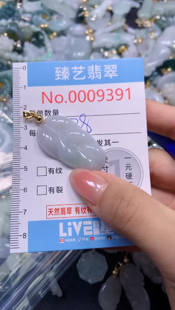 颈饰未镶嵌翡翠9391
