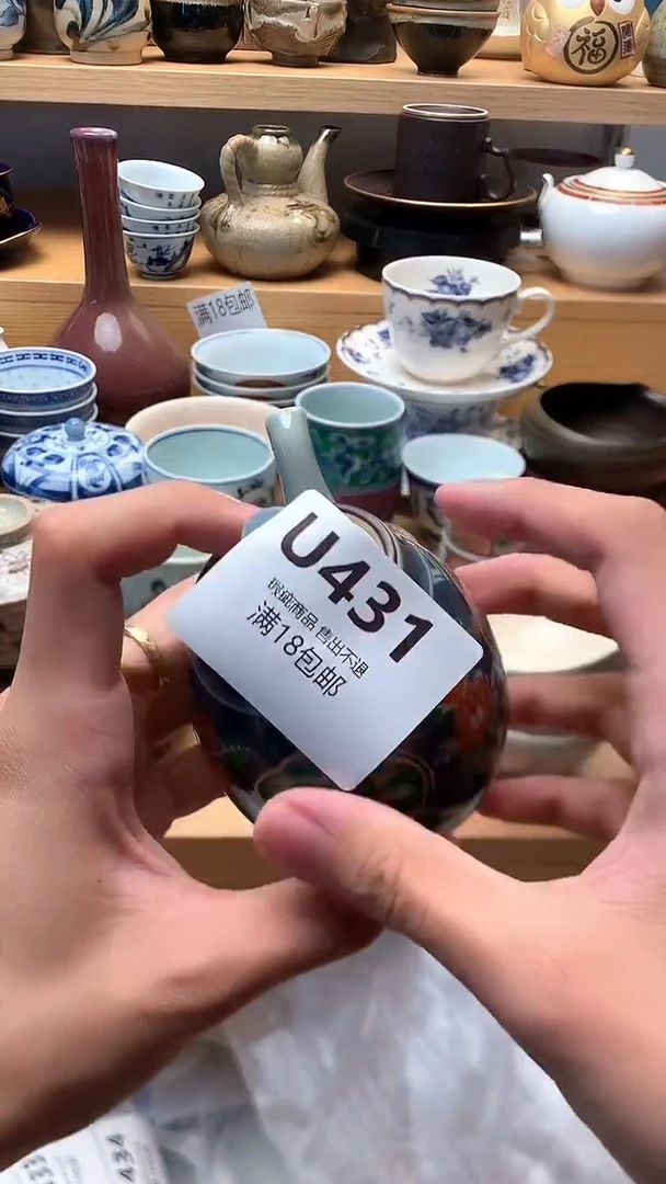 中古 闪购类型 定向 流浪猫