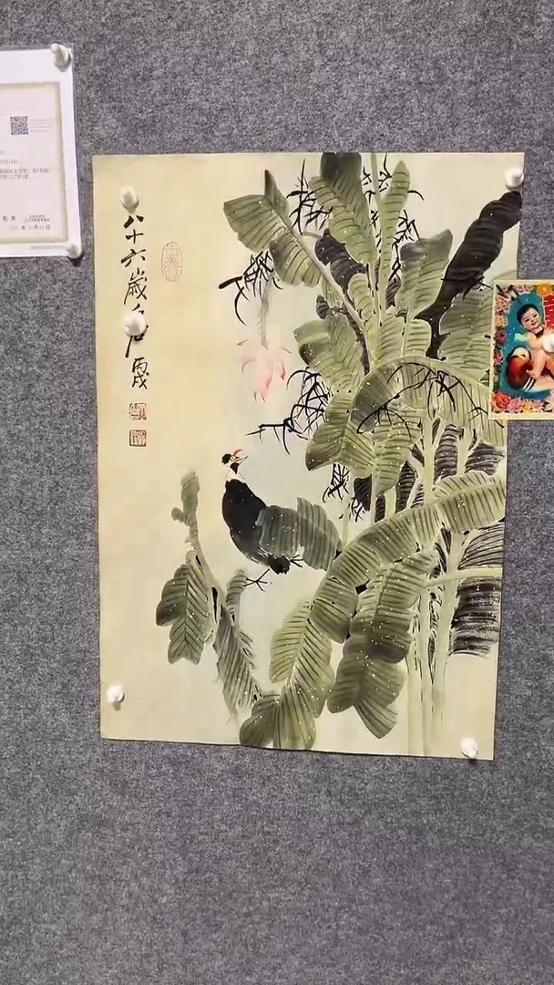 竖款比富苏甄选精品5