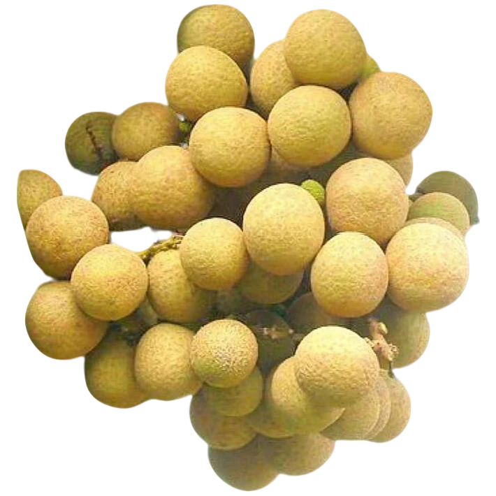 云南正宗石峡龙眼新鲜现摘现发当季水果肉厚饱满清甜多汁