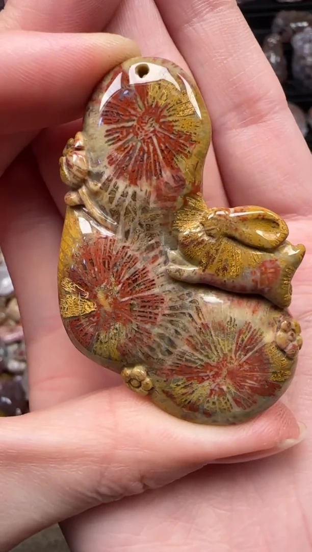 颈饰未镶嵌硅化珊瑚（珊瑚玉）423