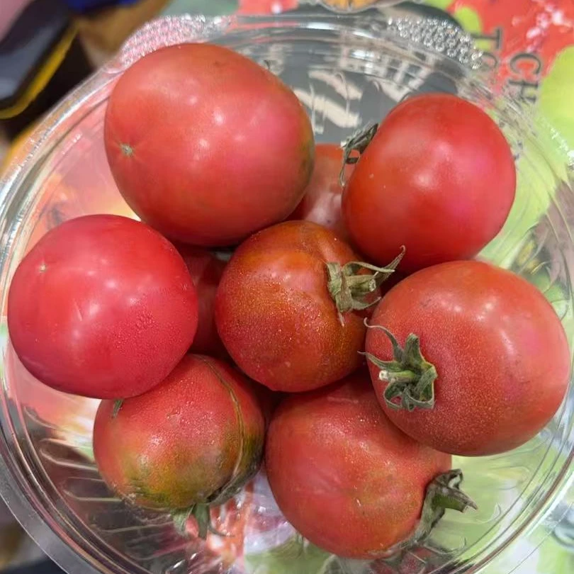 精品嘎啦果柿子1000克