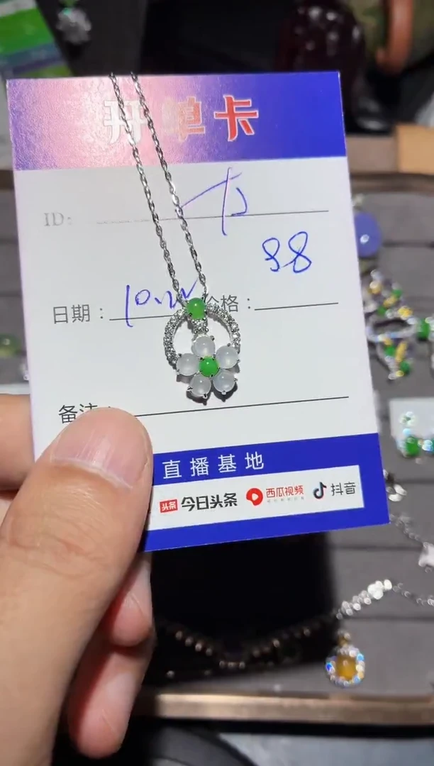 颈饰银S925镶嵌翡翠太**光0550719015