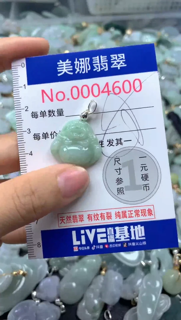 颈饰未镶嵌翡翠4600