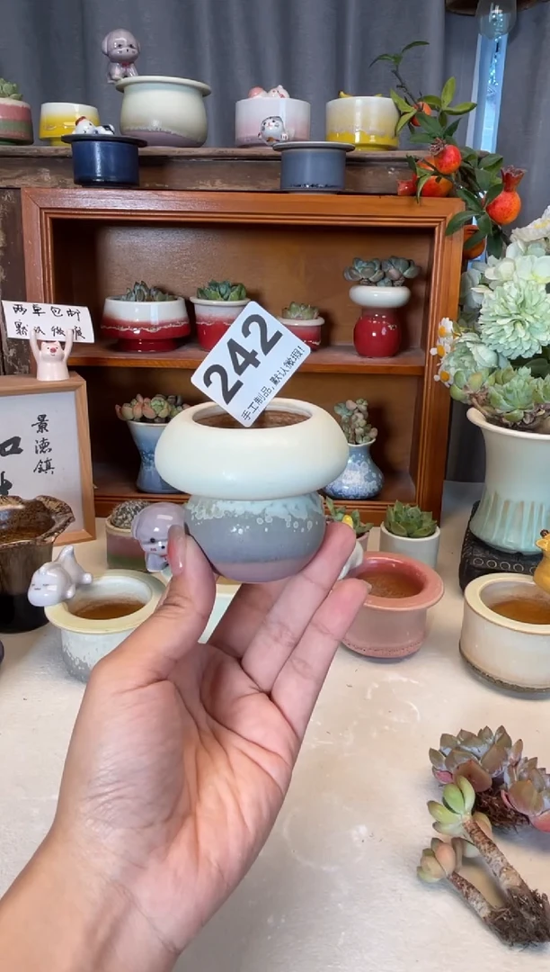 瓷片晚***星242知木小芳花盆