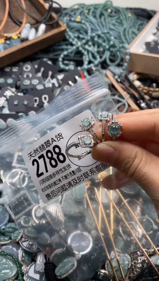 【闪购商品】翡翠颈饰未镶嵌多样性发其一2788