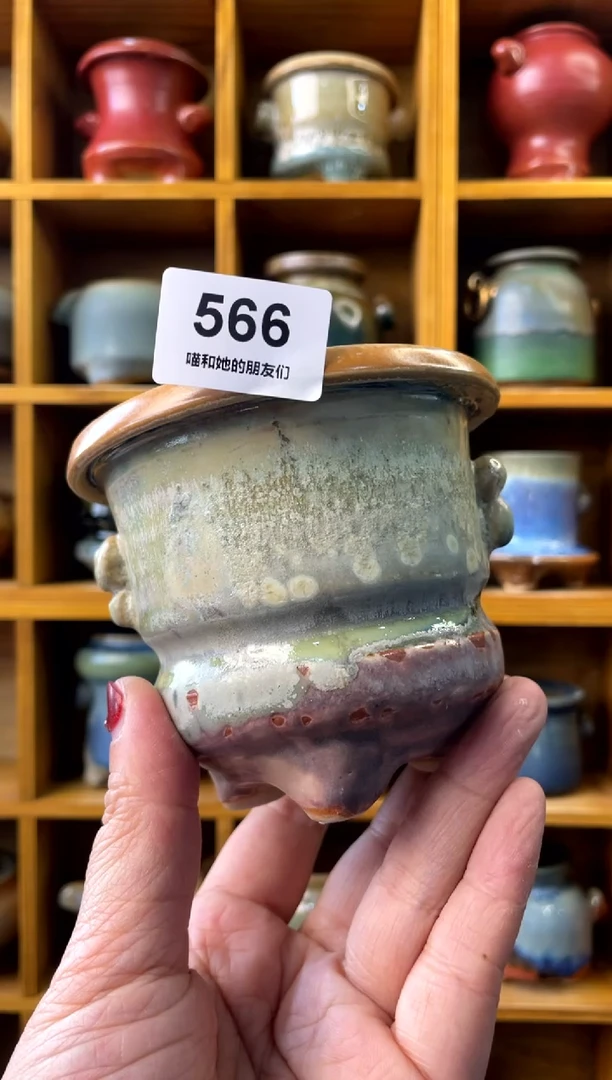 【闪购商品】陶微瑕566 内口8