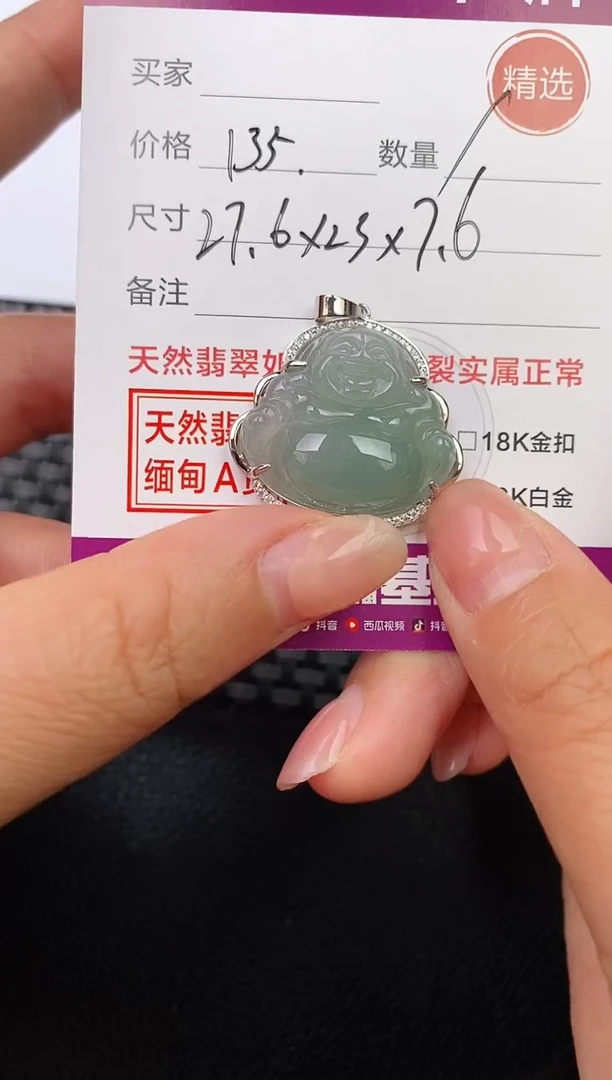 翡翠银S925镶嵌颈饰·