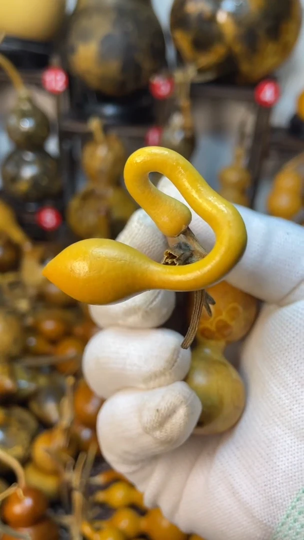 【闪购商品】葫芦葫芦葫芦葫芦葫芦葫芦