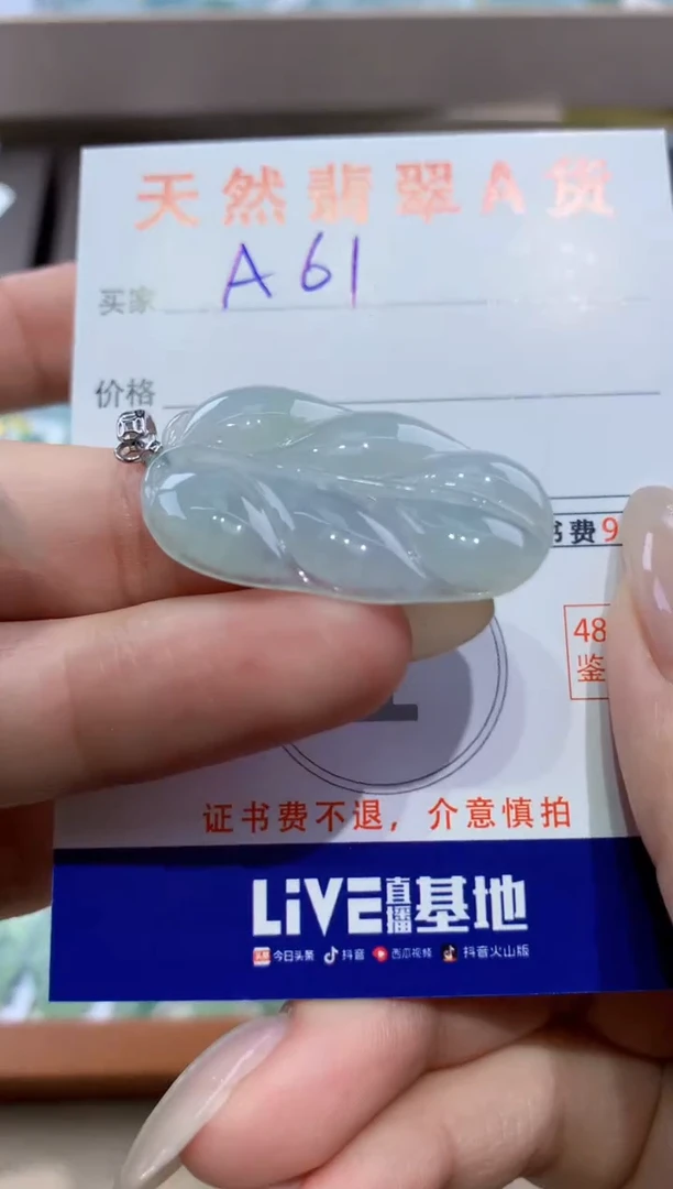 颈饰未镶嵌翡翠天然翡翠A货挂件