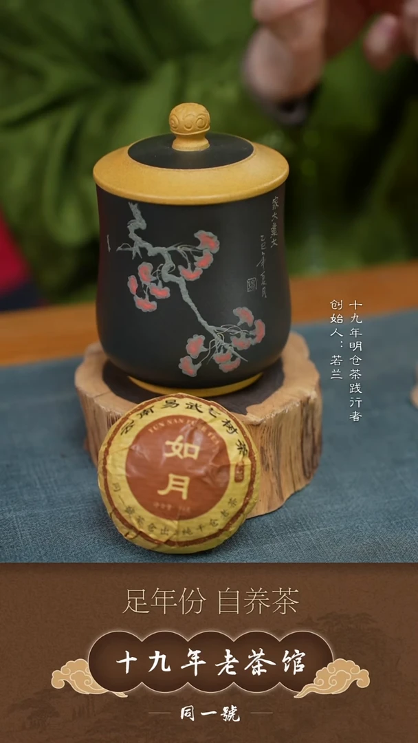 紫砂茶叶罐原矿紫砂醒茶存茶罐+如月*10
