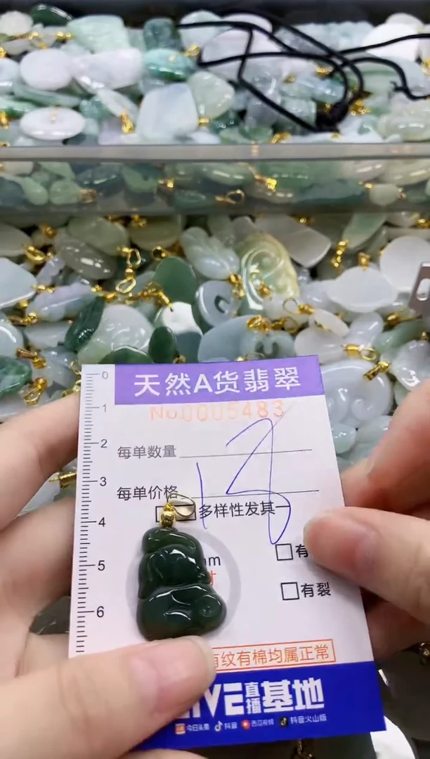 颈饰未镶嵌翡翠纯天然a货翡翠