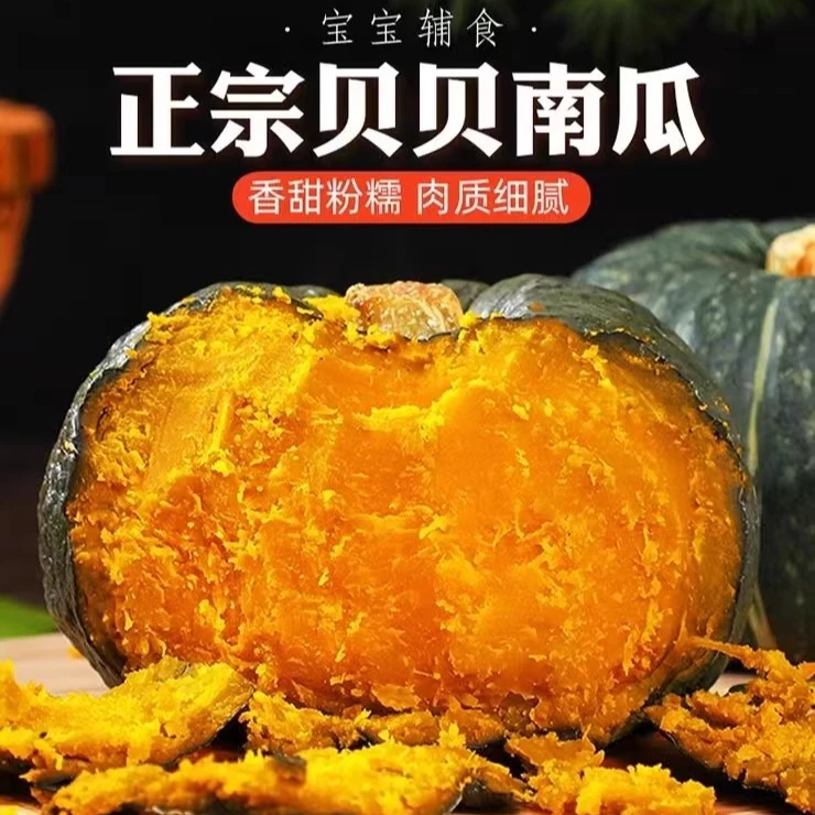 大别山贝贝南瓜4.5斤装粗粮宝宝辅食粉面香甜板栗味普拉提管理期