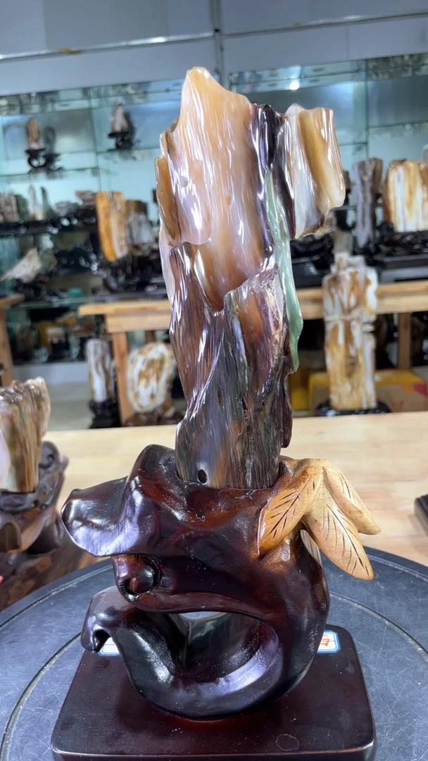【闪购商品】硅化玉珠宝奇石未镶嵌500