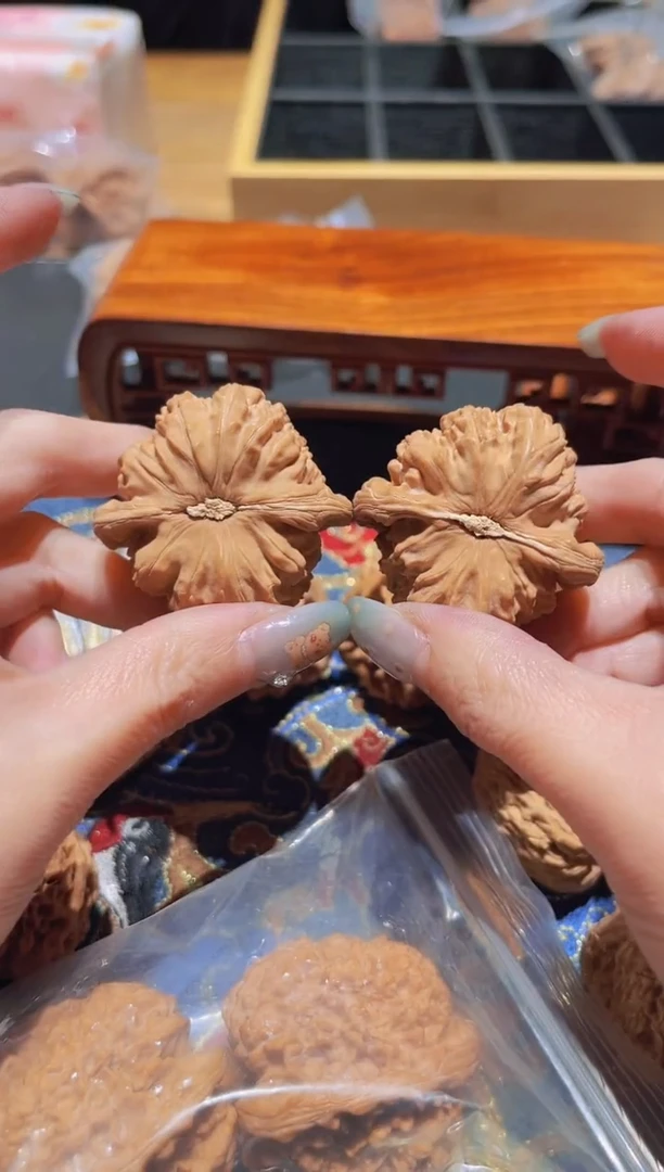 把件文玩核桃136白狮子