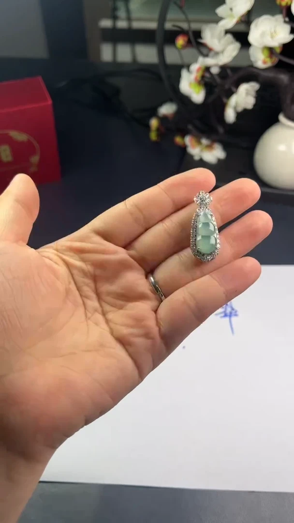 翡翠未镶嵌颈饰福豆