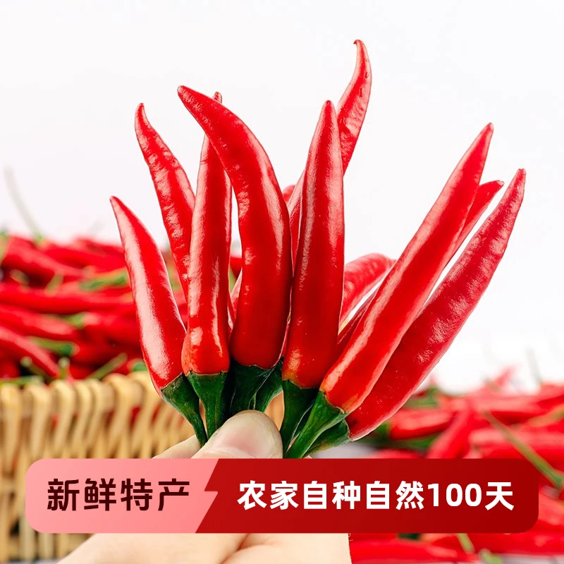 【大山有好货】小米辣   农产品50-500g