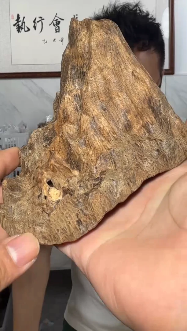 摆件沉香a86号多样性发一