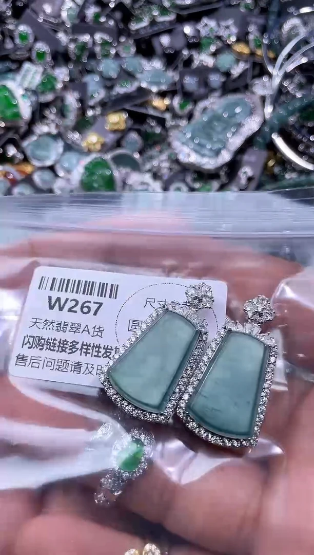 【闪购商品】翡翠颈饰未镶嵌W267多样性发其一