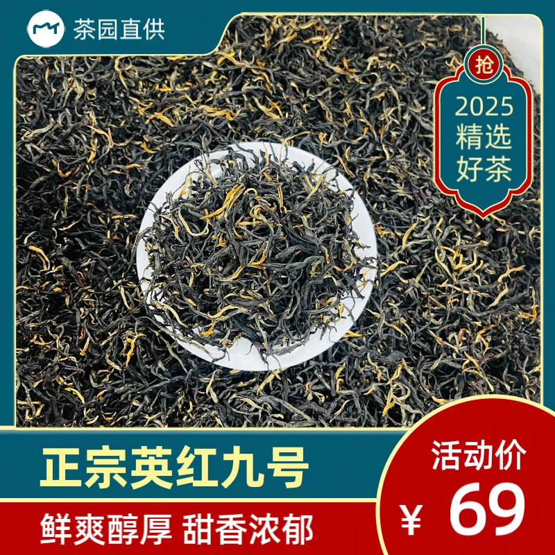 2025年英红九号春茶花果香红茶500g茶叶包邮