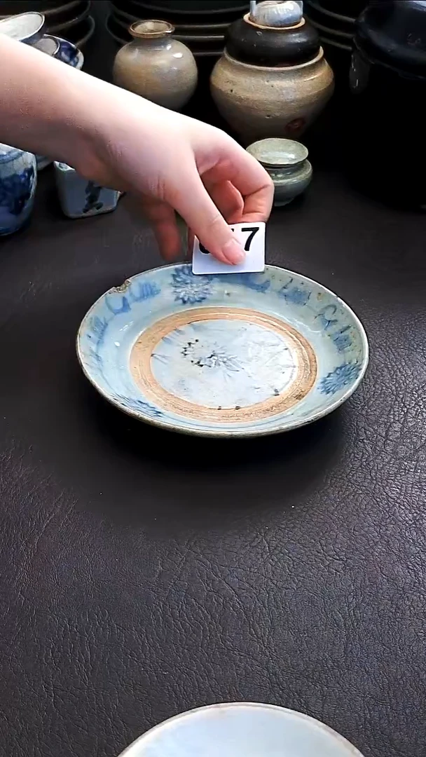 陶格**姐佳瑜家漂漂亮亮的瓷器编号017