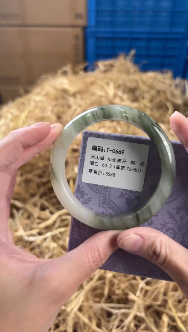 未镶嵌手镯石英质玉T-0669