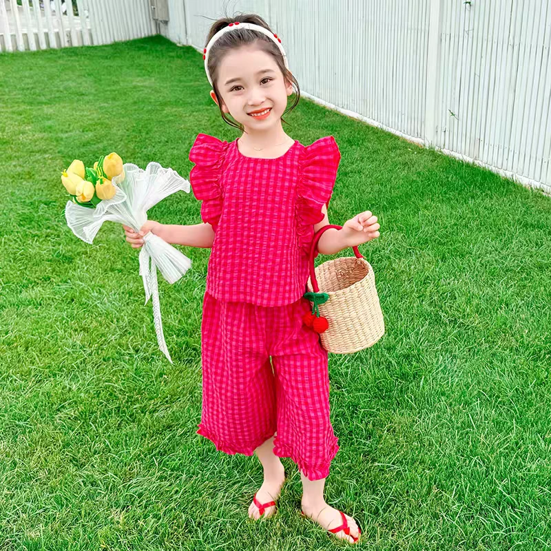 女童2025夏季新款套装时尚韩版飞袖阔腿裤上衣裤子套装ZS-G-B75