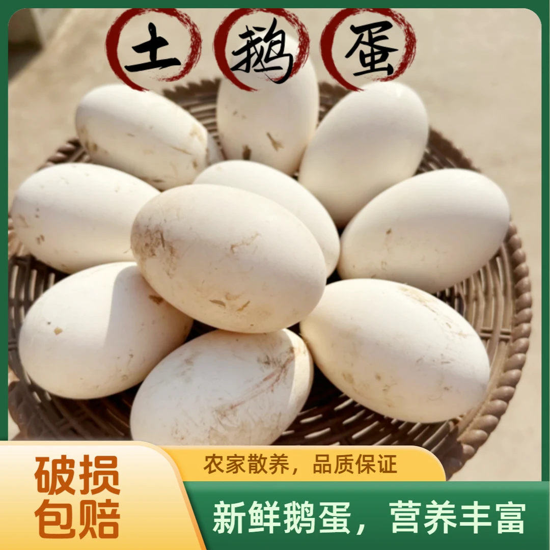 正宗农村新鲜鹅蛋80-100克散养土鹅蛋破损包赔