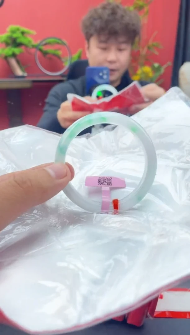 未镶嵌手镯翡翠5