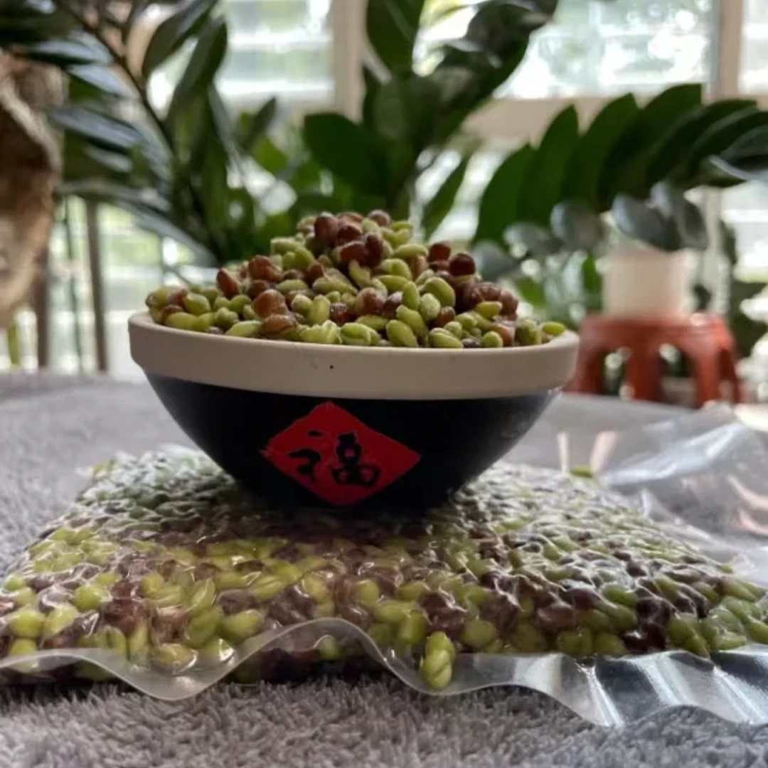 河南特产新鲜黑麦仁和青麦仁组合营养健康老少皆宜