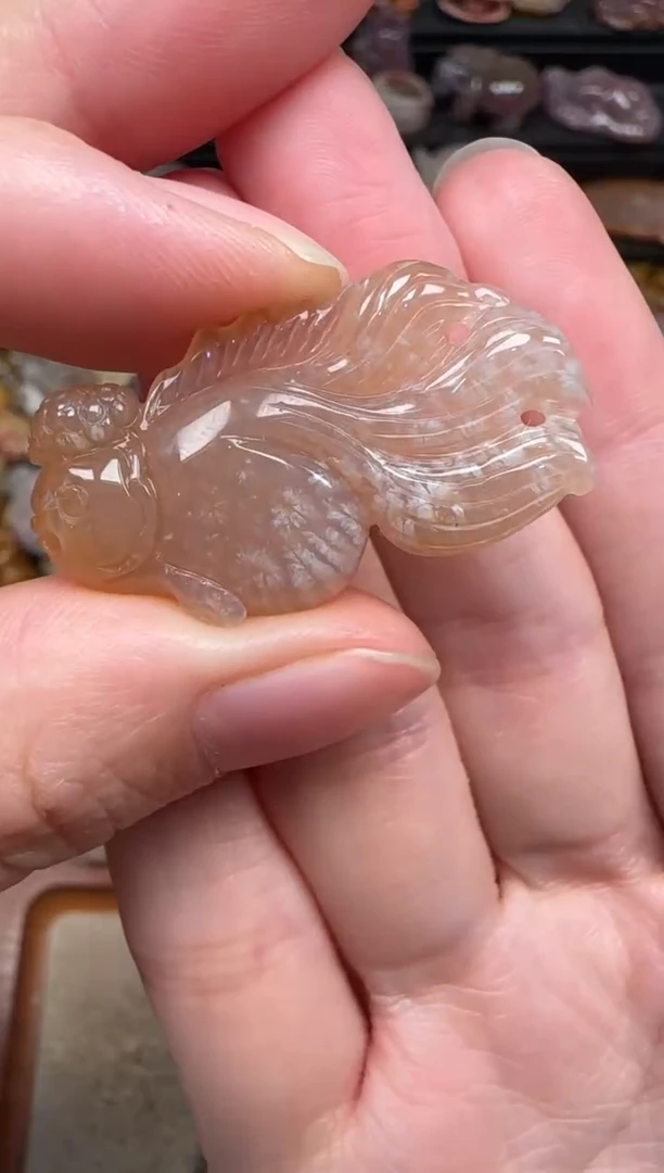 颈饰未镶嵌硅化珊瑚（珊瑚玉）398