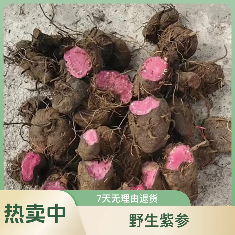 甘肃高原野生紫参无添加250—500克包邮