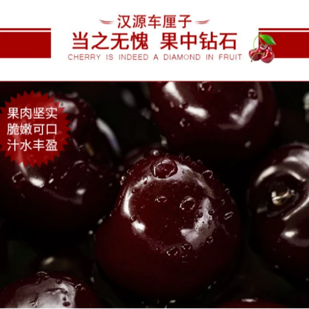 【冷链专线川渝】四川汉源高山老树套袋黑珍珠精品车里子大樱桃J2斤