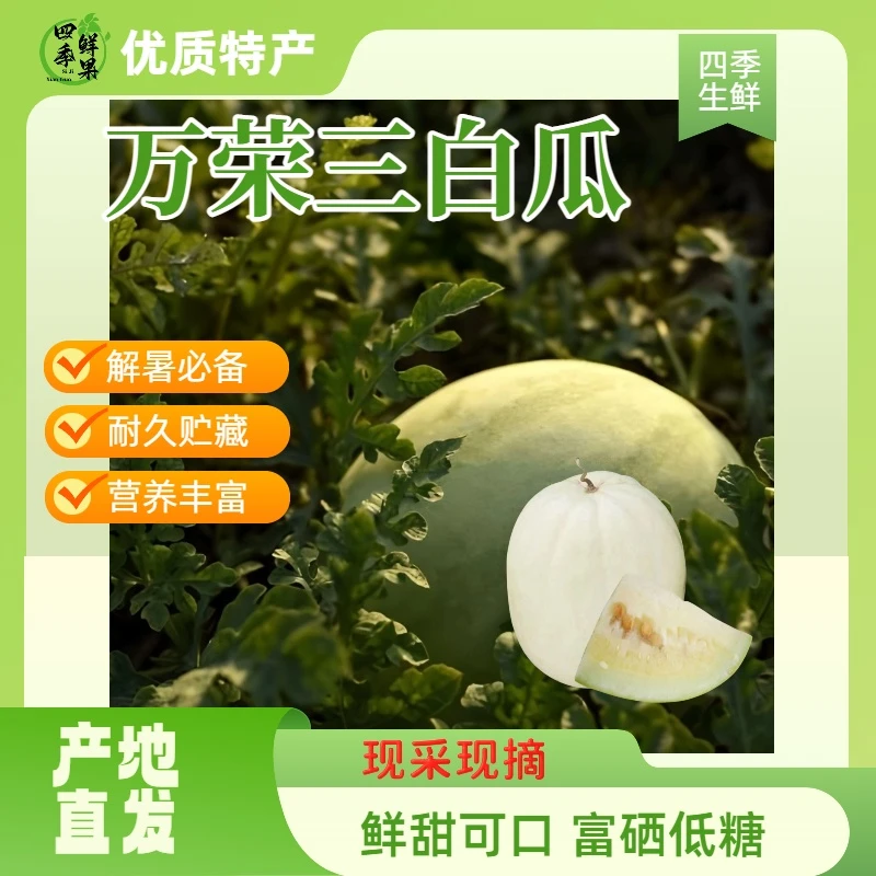 【整箱包邮】万荣三白瓜顺丰包邮