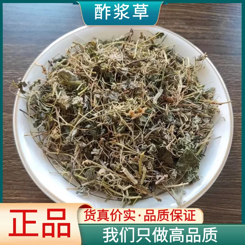 野生酸浆草 酢浆草 酸酸草 斑鸠酸 钩钩草醉浆草新货散装叶菜包邮