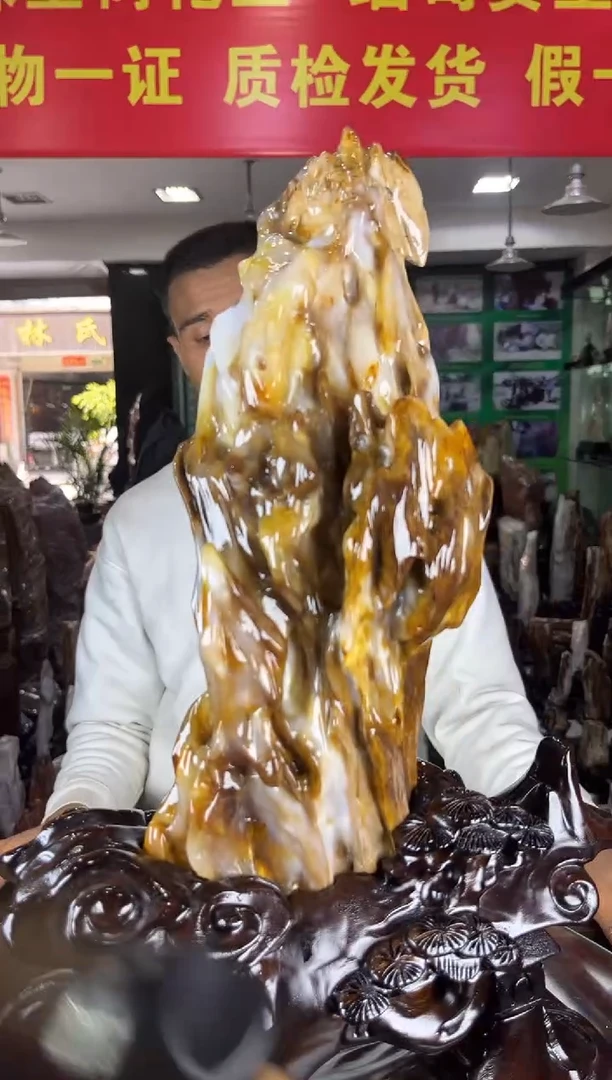 未镶嵌珠宝奇石硅化玉缅甸天然树化玉精品摆件