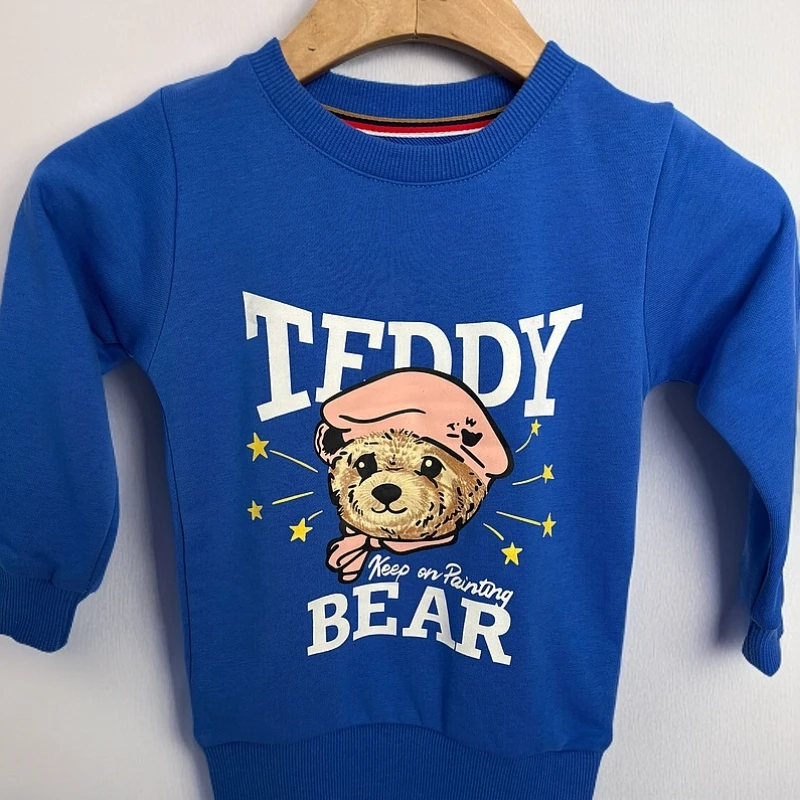 2121-18儿童 蓝色 卡通熊 休闲 纯棉 卫衣长袖 泰迪熊