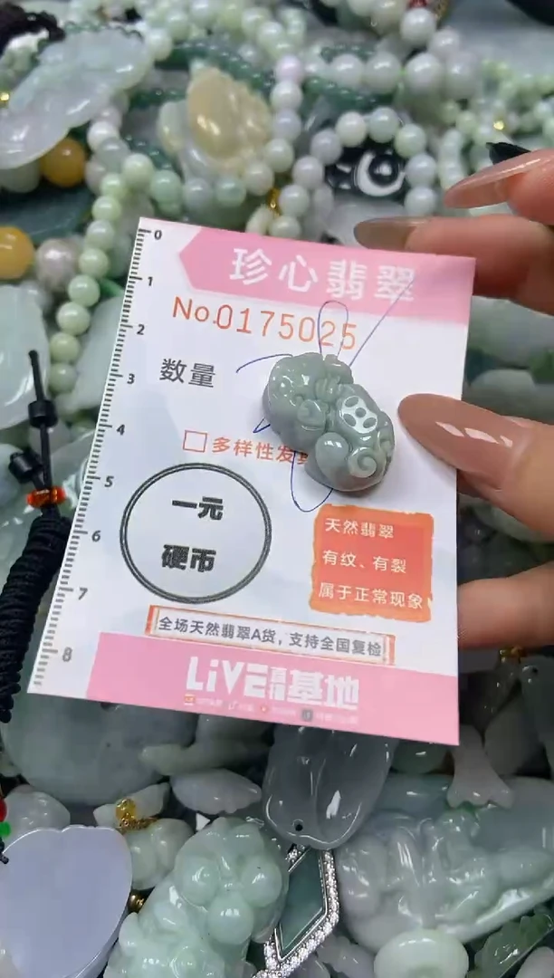 【闪购商品】翡翠颈饰未镶嵌闪购0175025