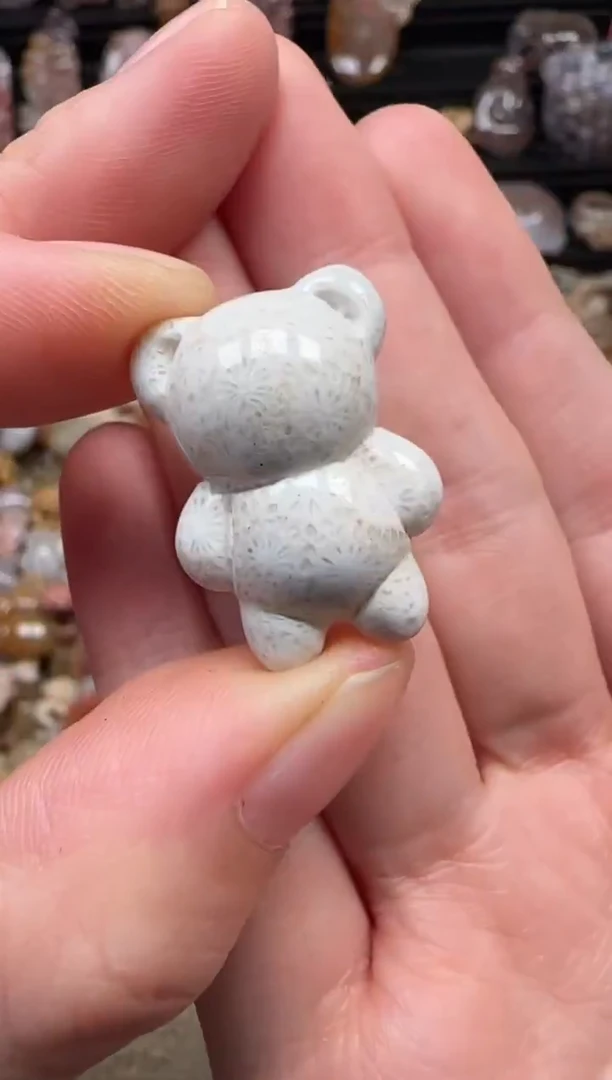 颈饰未镶嵌硅化珊瑚（珊瑚玉）051