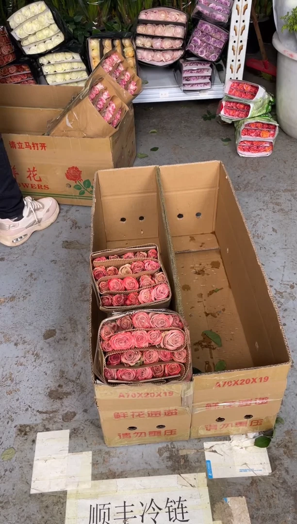 短卡布40枝（30-40厘米）